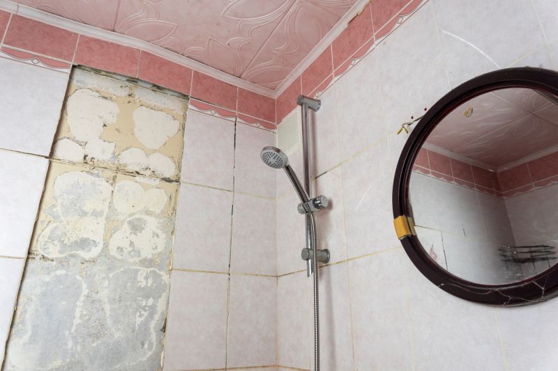 Top Shower Remodeling Companies in Andover, MN