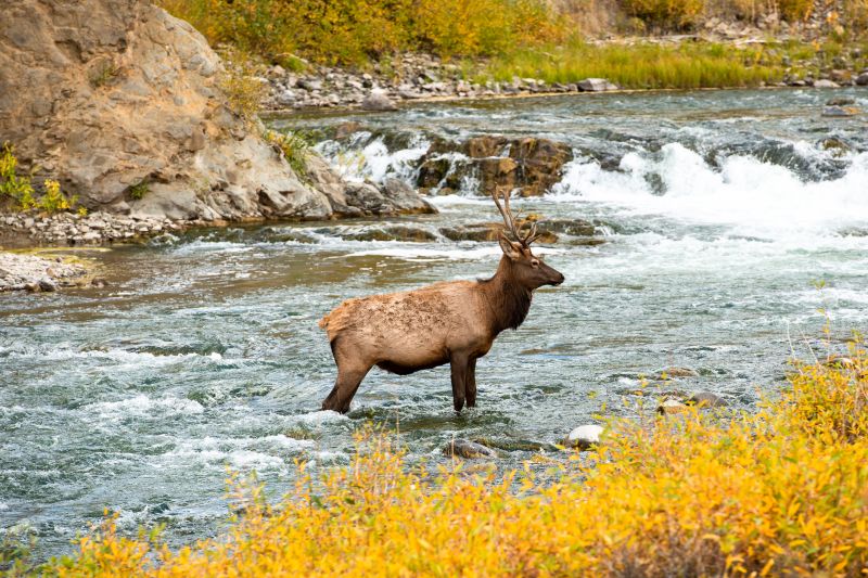 Best Tub To Shower Conversion pros in Elk River, MN